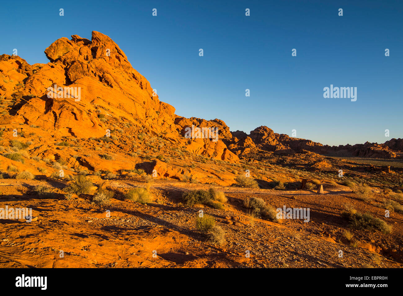 Redrock formazioni di arenaria a sunrise in il Parco della Valle di Fire State, Nevada, Stati Uniti d'America, America del Nord Foto Stock