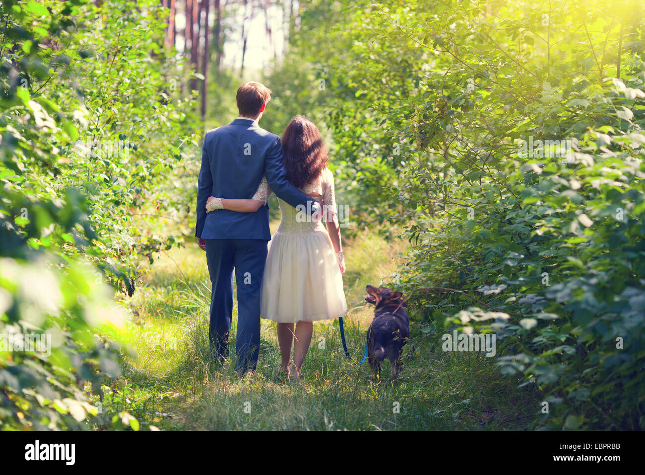 Abbracciando giovani sposi novelli passeggiate con il cane nella foresta torna alla fotocamera Foto Stock