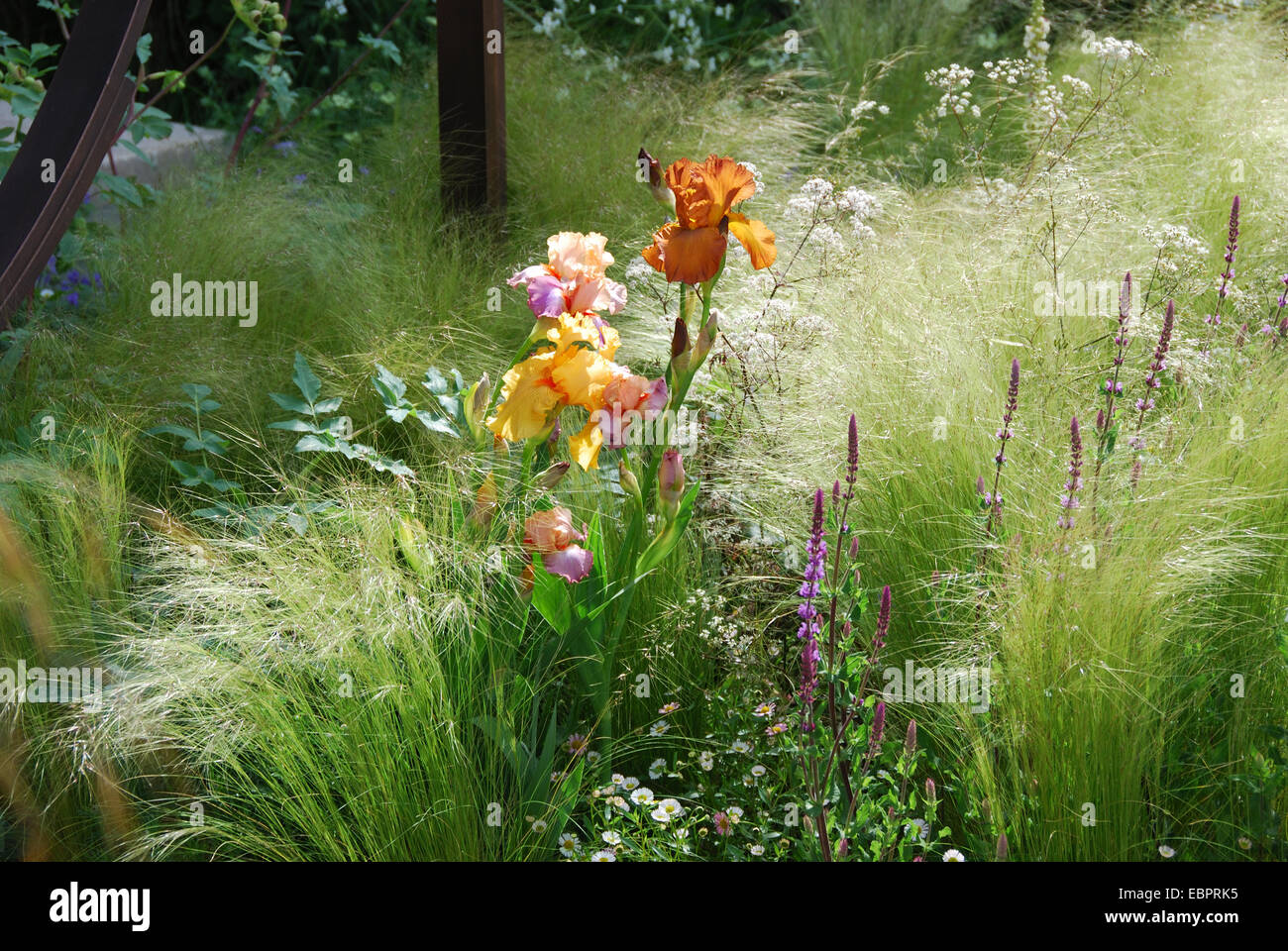 Laurent-Perrier Visualizza giardino, RHS Chelsea Flower Show 2007, Londra, Regno Unito. Foto Stock