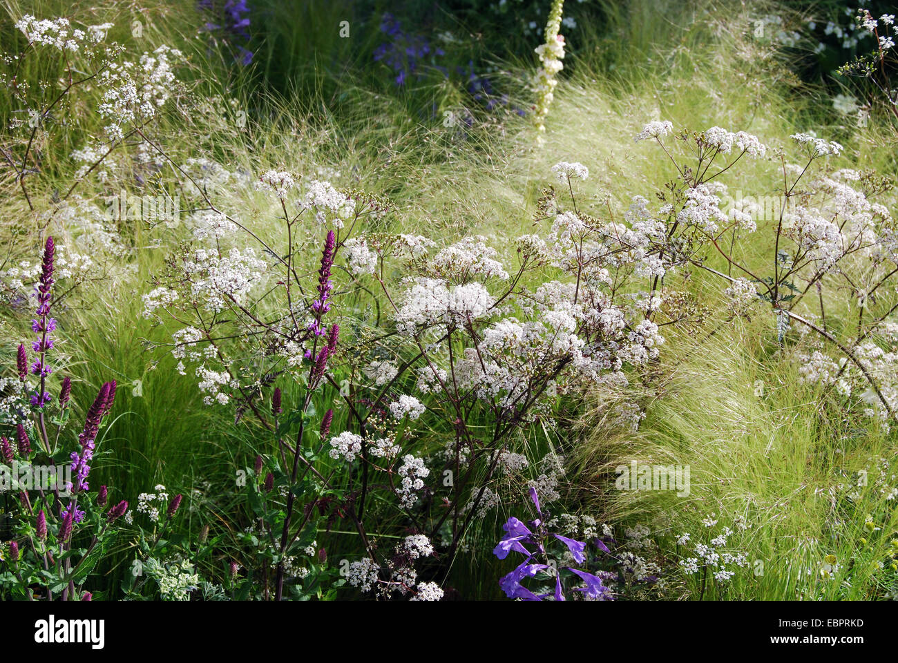 Laurent-Perrier Visualizza giardino, RHS Chelsea Flower Show 2007, Londra, Regno Unito. Foto Stock