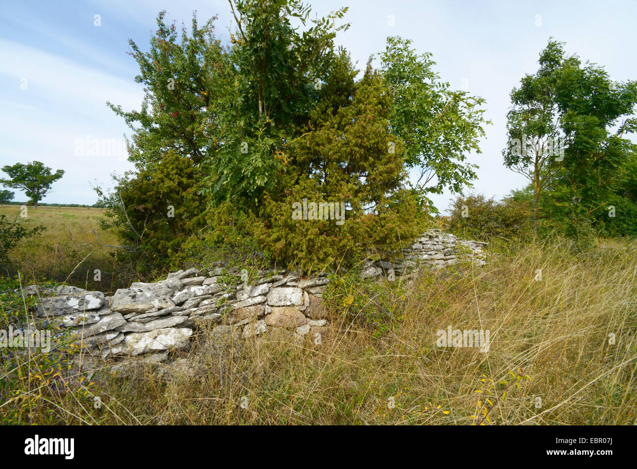 Pila ricoperta di pietre su Gotland in Svezia Svezia, Gotland Foto Stock