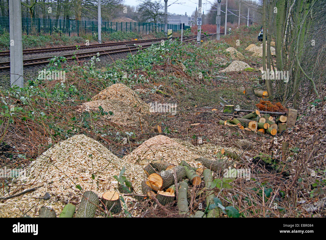 Tagliare la vegetazione accanto i binari della ferrovia, Germania Foto Stock