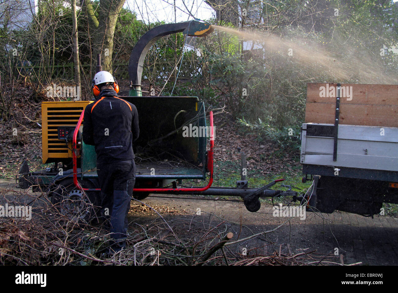 Chaffcutter in azione, Germania Foto Stock