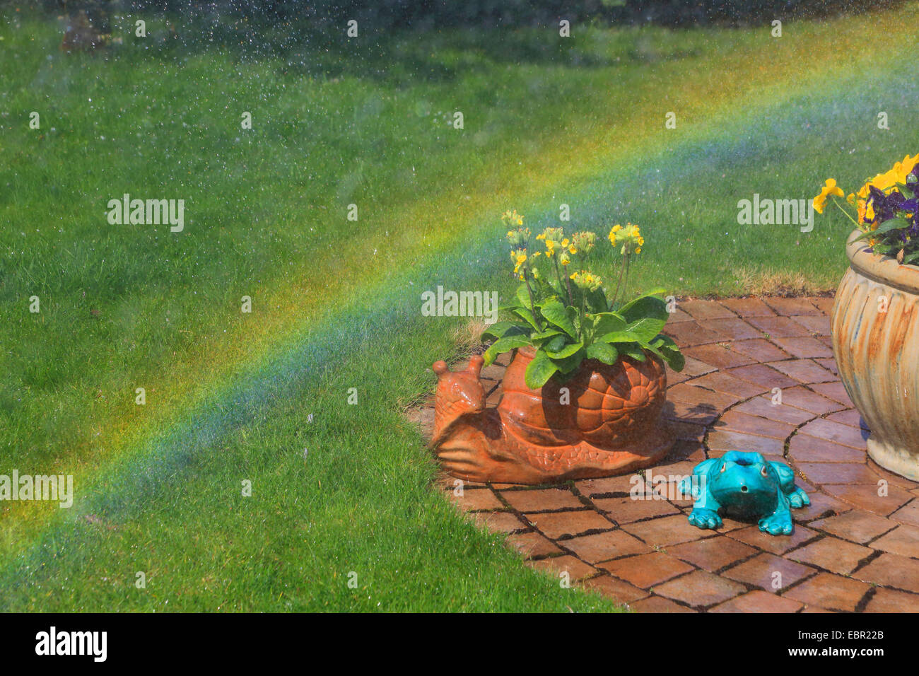 Giardino con fiori e rainbow, Germania Foto Stock