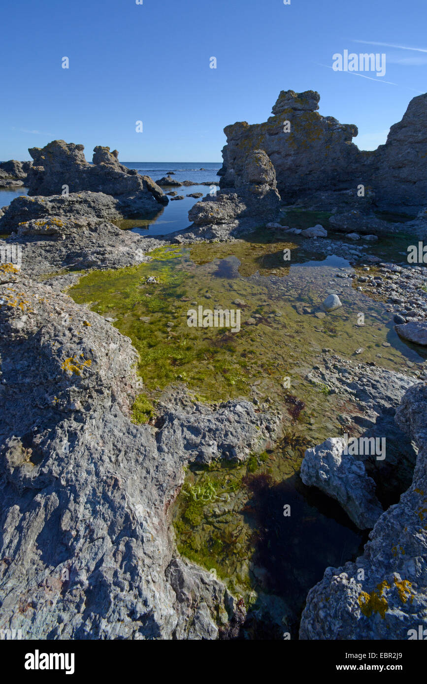 A Rauken Hammarshagehaellar su Gotland Svezia, Hammarshagehaellar, Gotland Foto Stock
