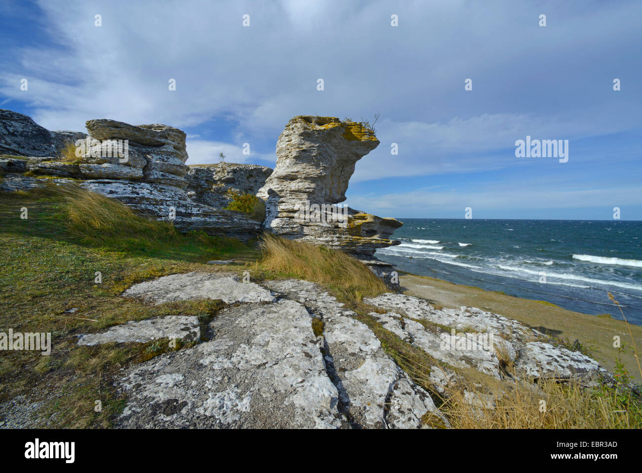 La formazione di calcare in corrispondenza della zona di riff di Hoburgen su Gotland Svezia, Gotland Foto Stock