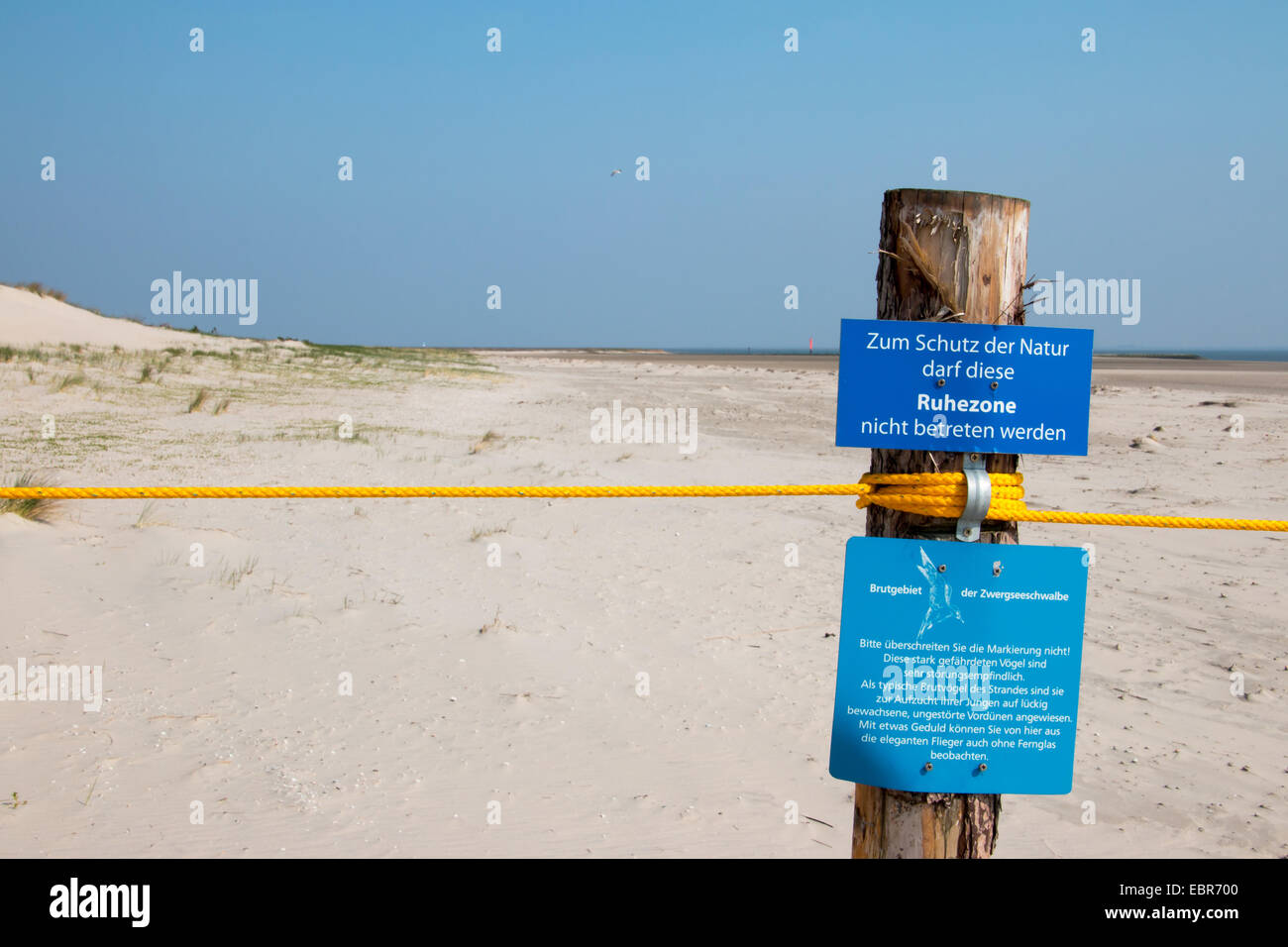 Area protetta nel mare di marea nationalpark, Germania, Bassa Sassonia, Spiekeroog Foto Stock