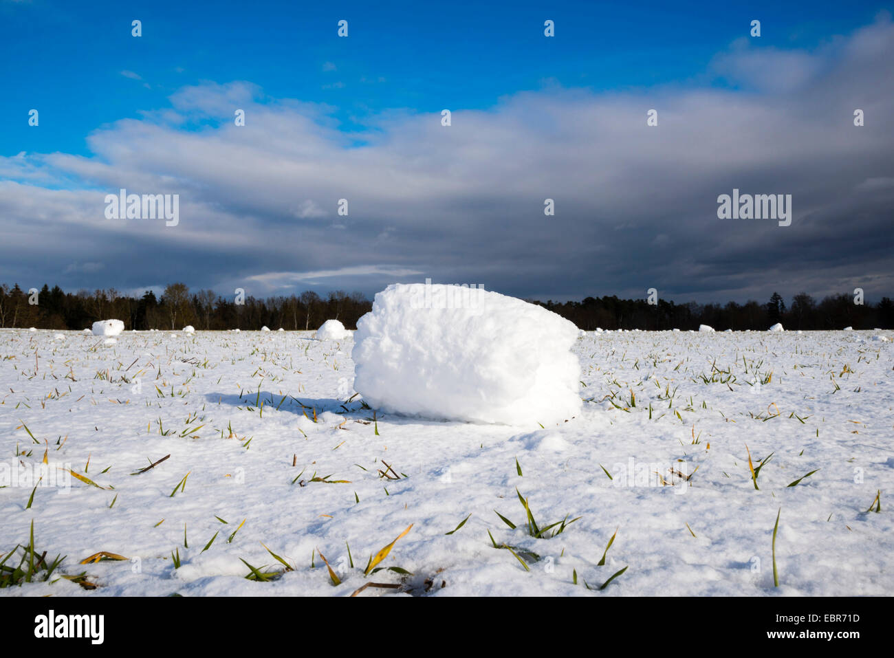 Rullo di neve in una coperta di neve prato, GERMANIA Baden-Wuerttemberg, Svevo Foto Stock