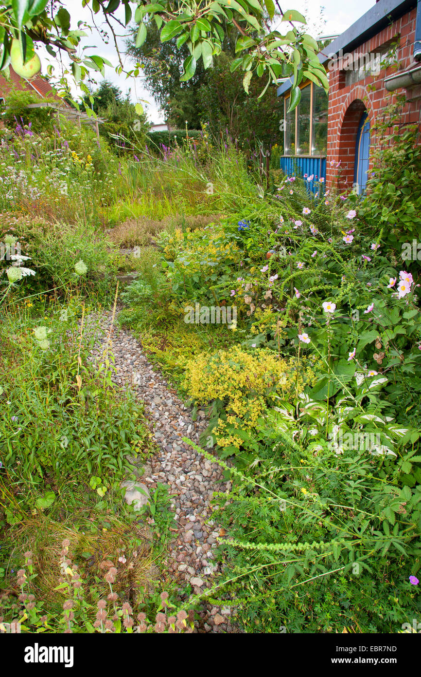 La ghiaia a piedi in un giardino naturale, Germania Foto Stock