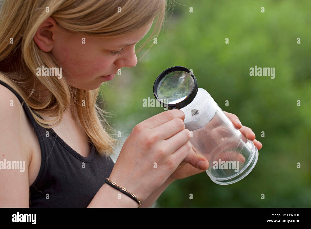 Ragazza guardando un wild bee in un modificato loupe al di fuori di un bicchiere di plastica, Germania Foto Stock