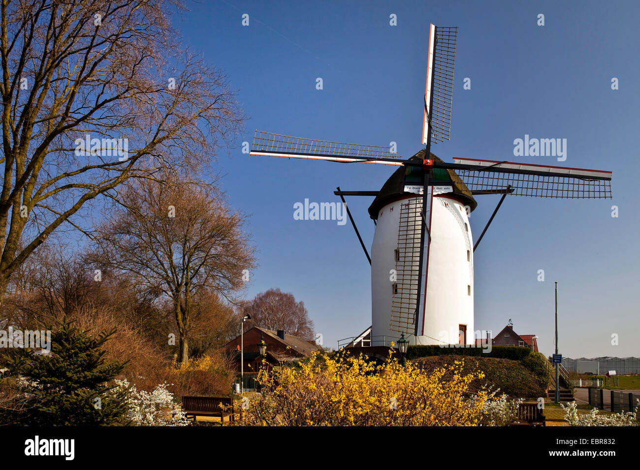 Tower Mill di Steprath Walbeck nel trimestre, in Germania, in Renania settentrionale-Vestfalia, Geldern Foto Stock