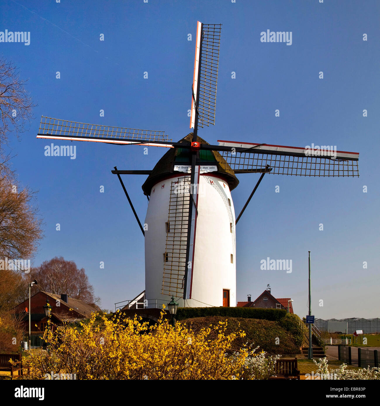 Tower Mill di Steprath Walbeck nel trimestre, in Germania, in Renania settentrionale-Vestfalia, Geldern Foto Stock