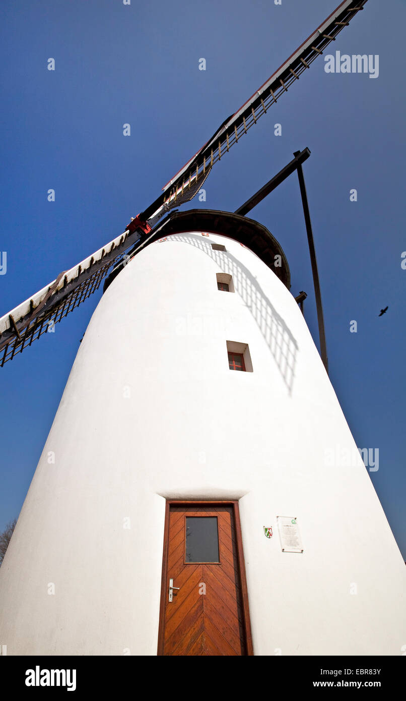 Tower Mill di Steprath Walbeck nel trimestre, in Germania, in Renania settentrionale-Vestfalia, Geldern Foto Stock