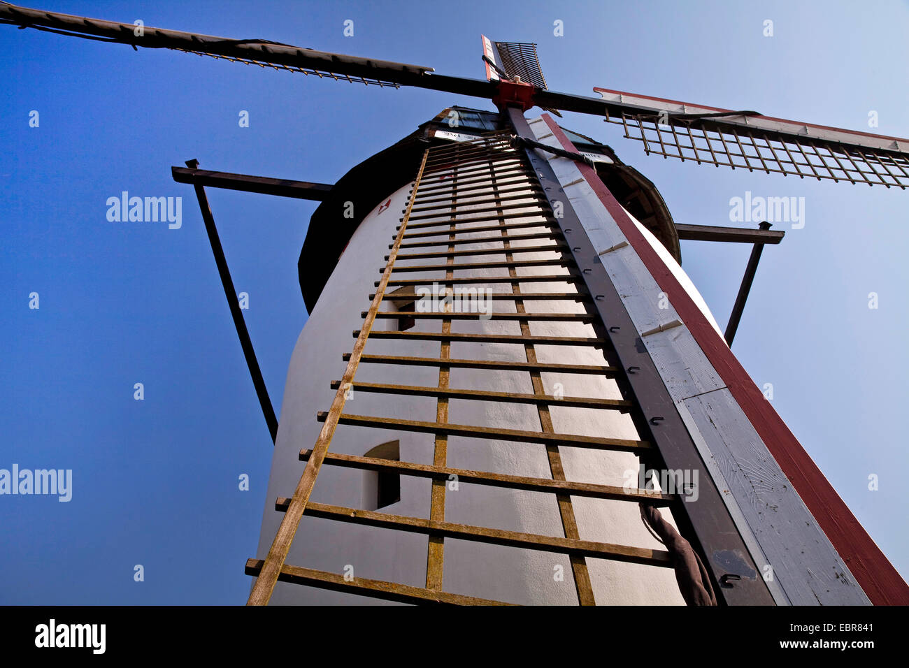 Tower Mill di Steprath Walbeck nel trimestre, in Germania, in Renania settentrionale-Vestfalia, Geldern Foto Stock