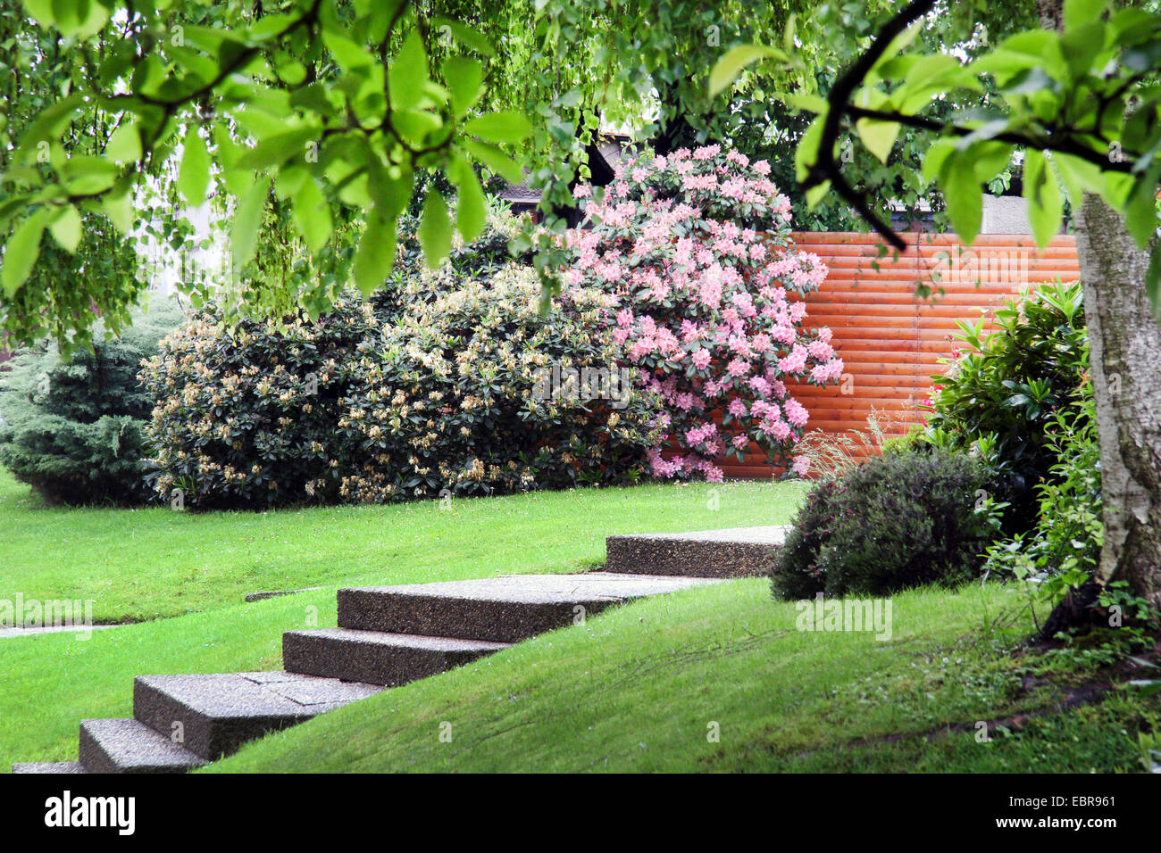 Giardino Ben curato con prato e il rododendro, Germania Foto Stock