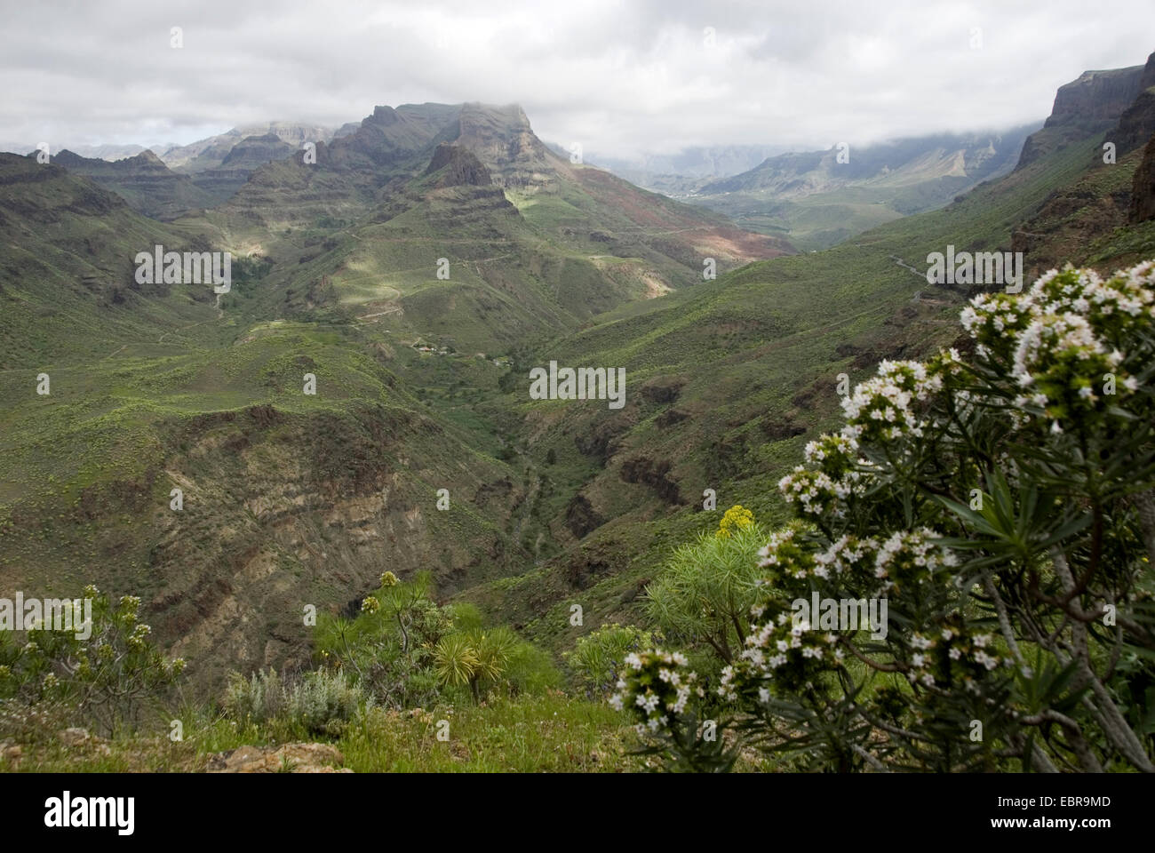 Vista panoramica sul paesaggio di montagna, Isole Canarie, Gran Canaria, El Mirador de Fataga Foto Stock