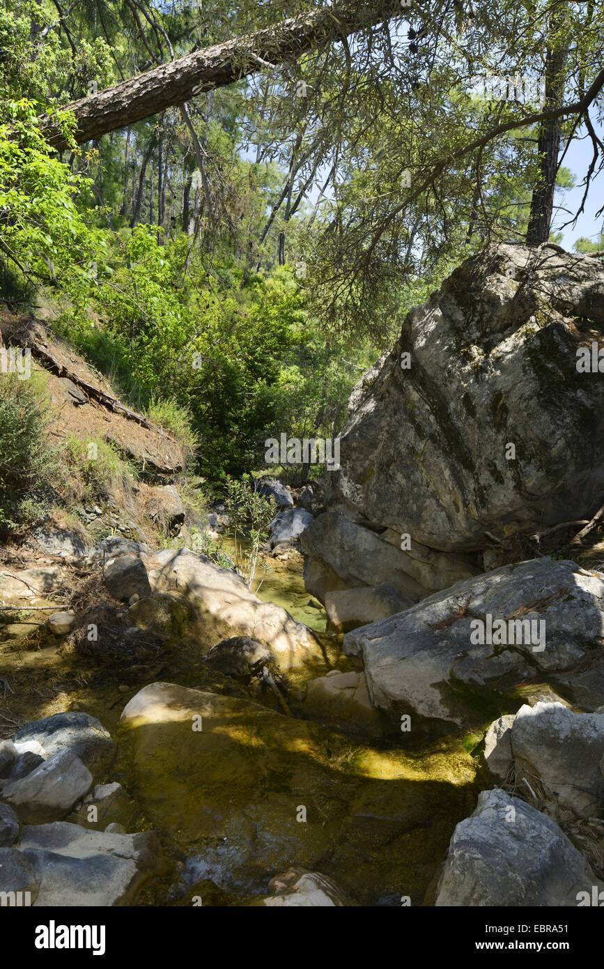 Mountain Creek, Turchia Turchia, Anatolia Foto Stock
