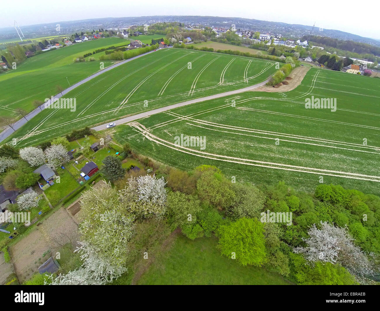 Vista aerea di paesaggio di campo in primavera, in Germania, in Renania settentrionale-Vestfalia, la zona della Ruhr, Witten Foto Stock