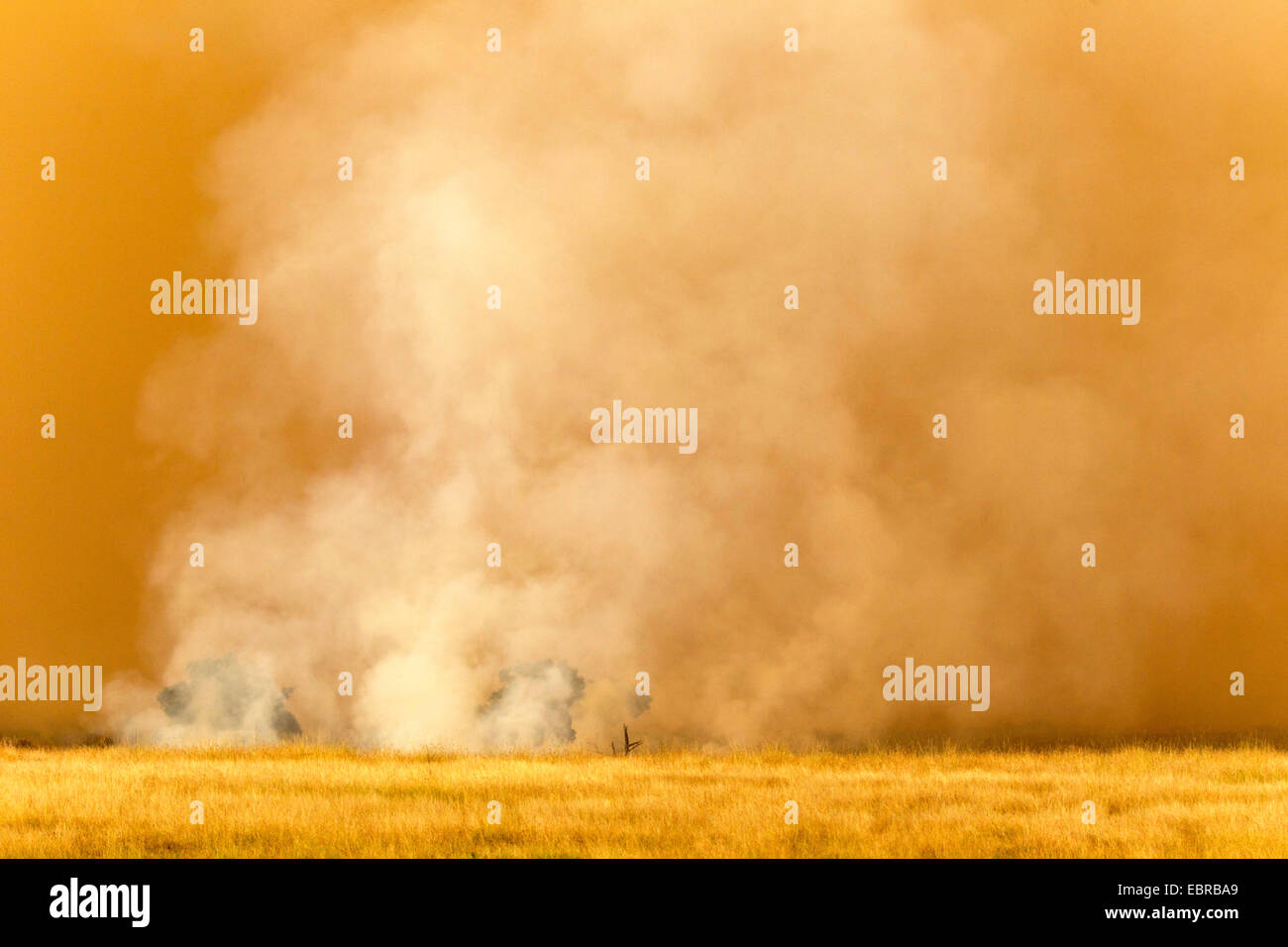 Fire a Savannah, Kenia Masai Mara National Park Foto Stock