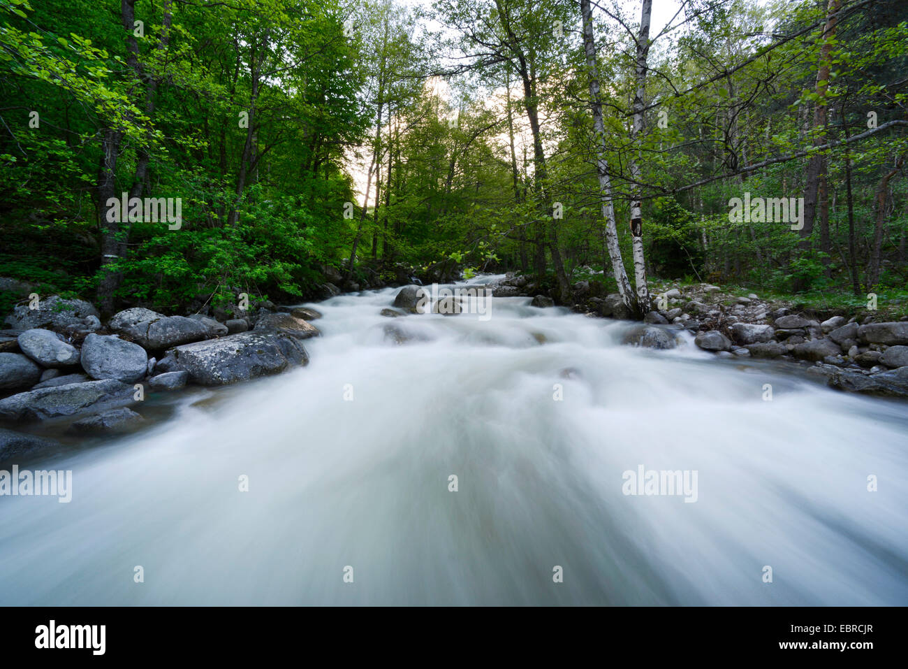River a montagne Pirin, Bulgaria, Pirin-Gebirge, il Parco Nazionale di Pirin Foto Stock