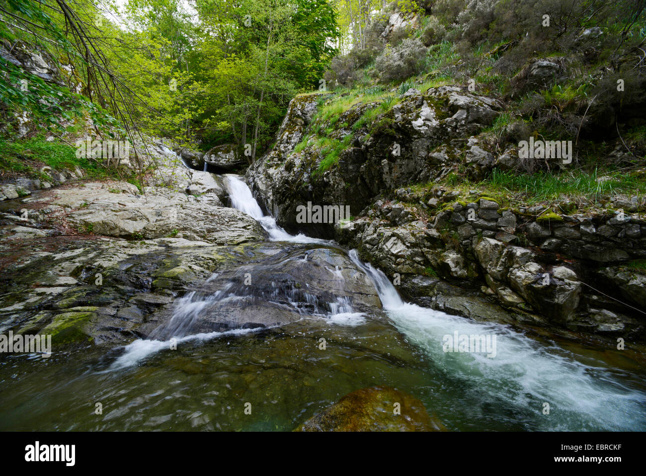 Cascata sulla Corsica, Cascades de Anglais, Francia, Corsica, Monte dAEOro Foto Stock