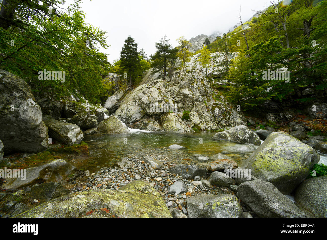 Cascades de Anglais, Francia, Corsica, Monte dAEOro Foto Stock