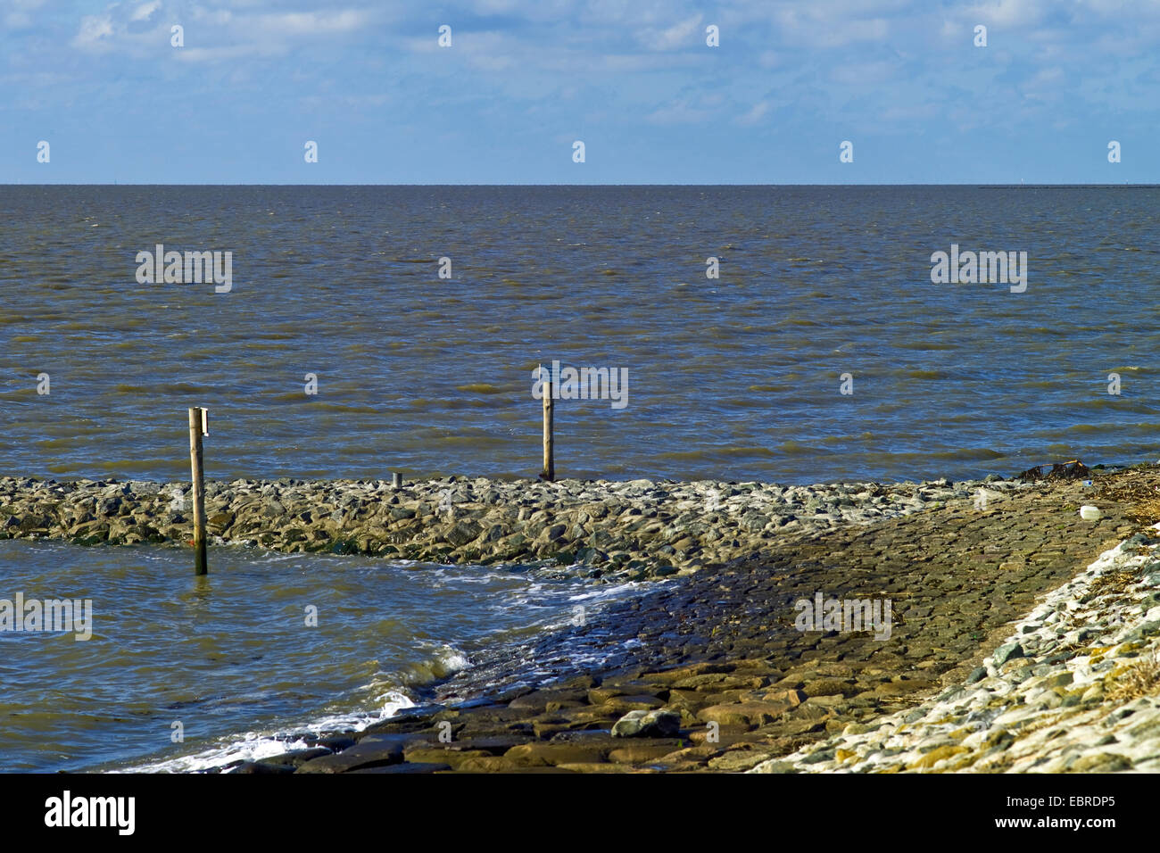 Sperone dighe in acqua alta, Germania, Bassa Sassonia, Bassa Sassonia il Wadden Sea National Park, Dorum-Neufeld Foto Stock