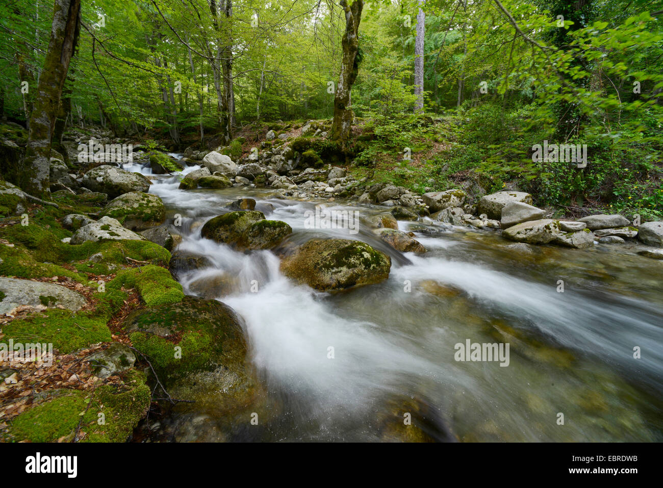 Cascades de Anglais, cascata sulla Corsica, Francia, Corsica, Monte dAEOro, Cascades de Anglais Foto Stock