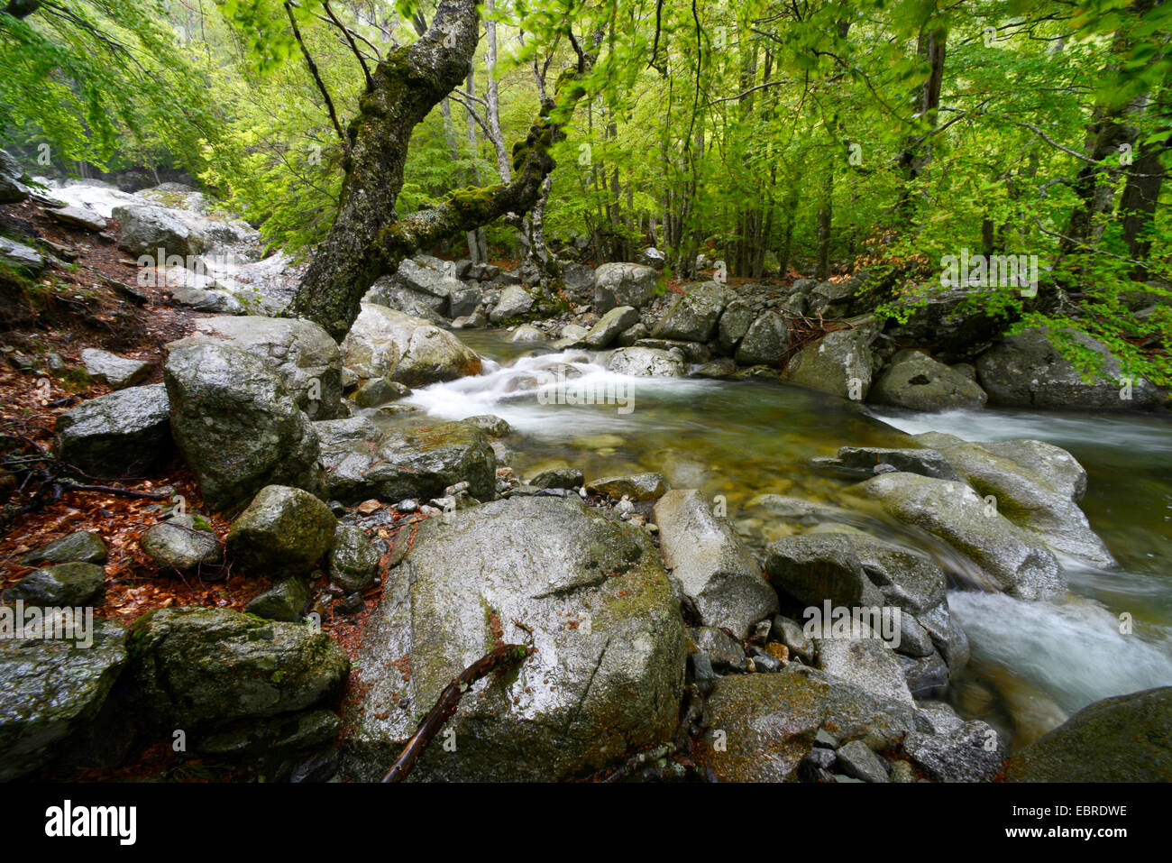 Cascades de Anglais, Francia, Corsica, Monte dAEOro Foto Stock