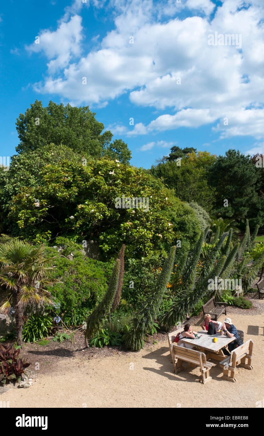 L'outdoor cafe a Ventnor Botanic Gardens sull'Isola di Wight. Foto Stock