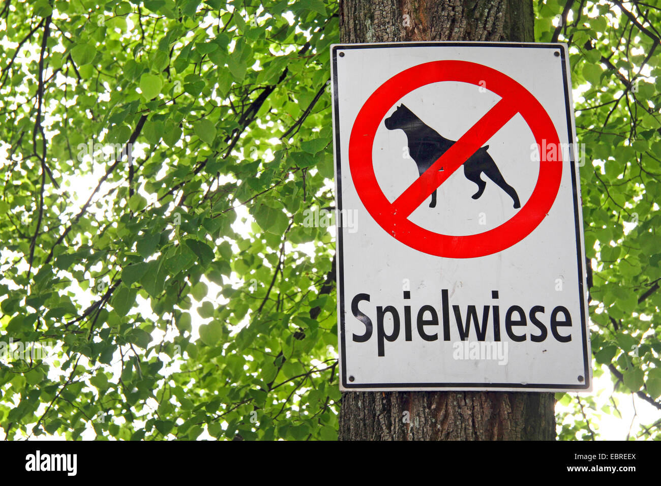 Informazioni segno, campo da gioco, cani vietato, Germania Foto Stock
