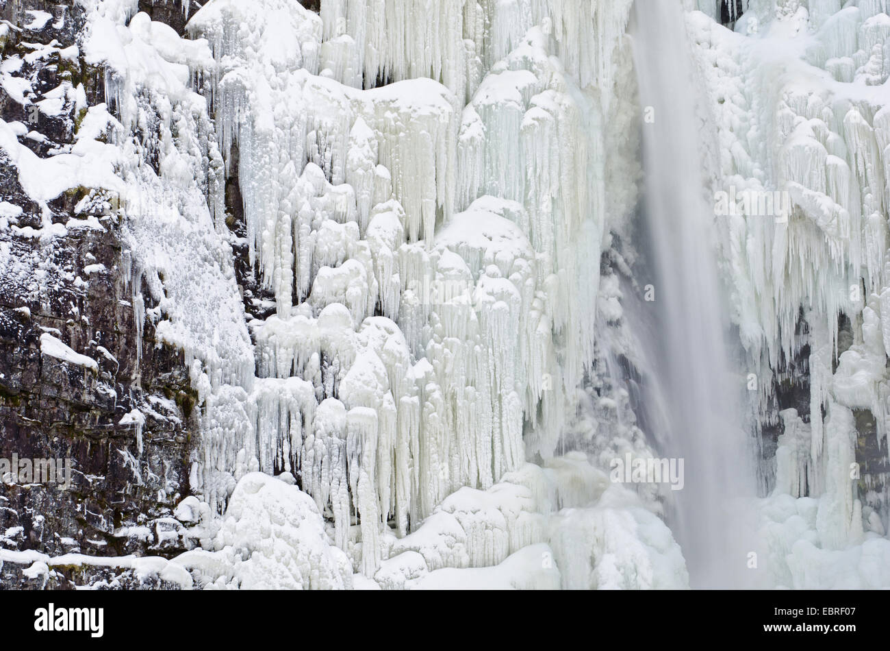 Cascate gelate Njupeskaer, Norvegia, Dalarna, Fulufjaellet Parco Nazionale Foto Stock