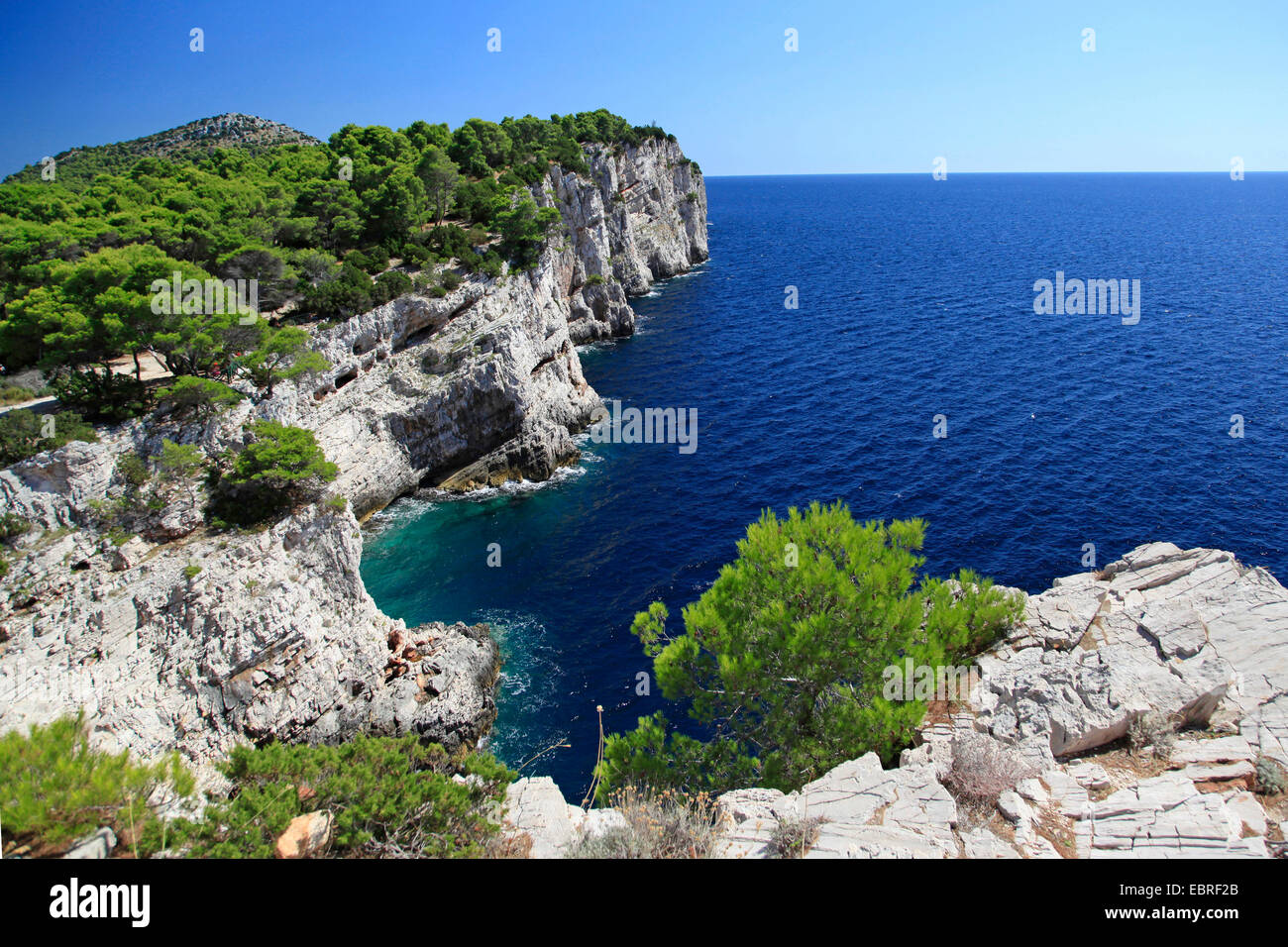 Cliff-costa alberata di Dugi Otok, Croazia, Adria Foto Stock