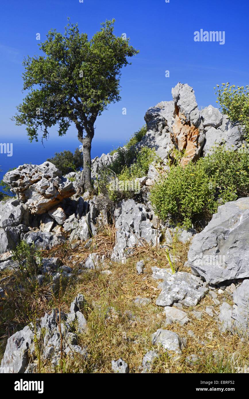 Formazione di roccia presso il bagno turco costa mediterranea, Turchia, Lycia, Dalyan, Mugla Foto Stock