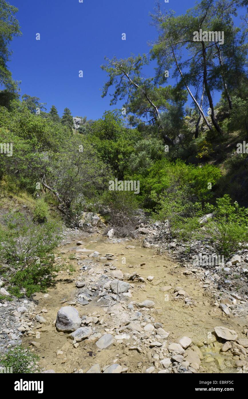 Mountain Creek in Turchia, Turchia, Lycia, Dalyan, Mugla Foto Stock