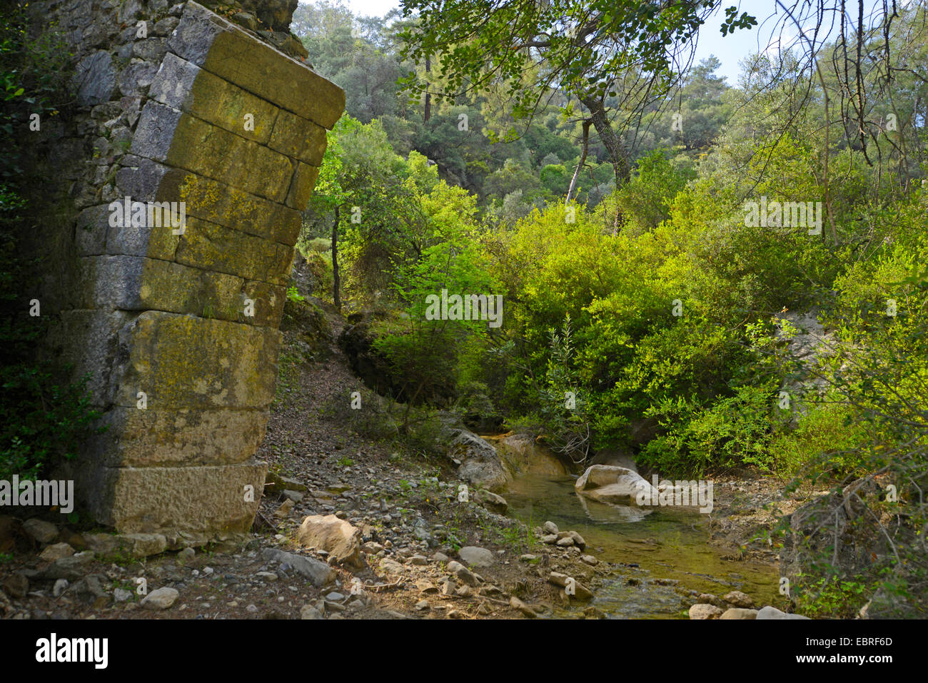 Mountain Creek con un ponte in pietra, Turchia, Lycia, Kaunos, Dalyan, Mugla Foto Stock