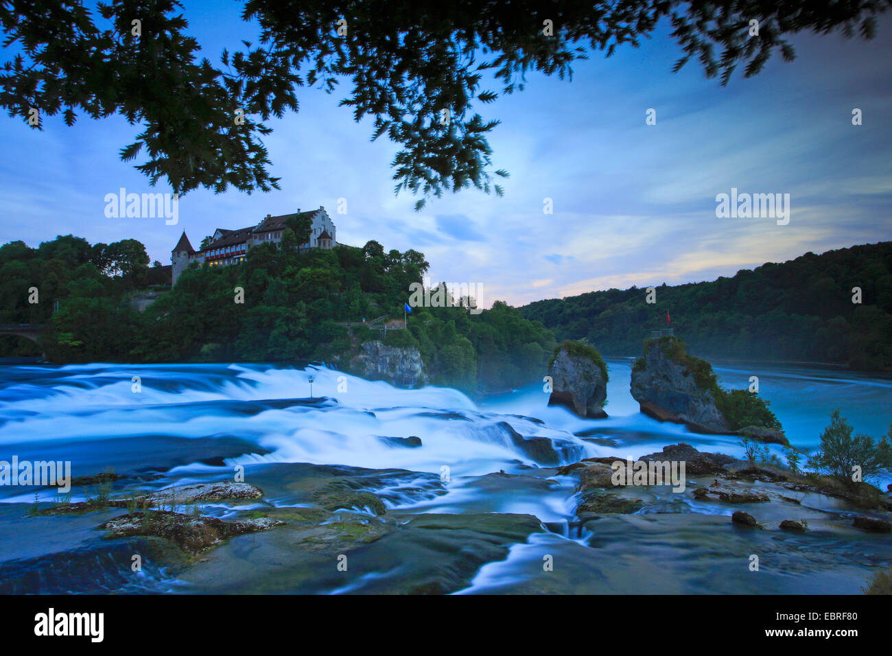 Caduta del Reno vicino a Sciaffusa con Castello Laufen, Svizzera, Sciaffusa Foto Stock