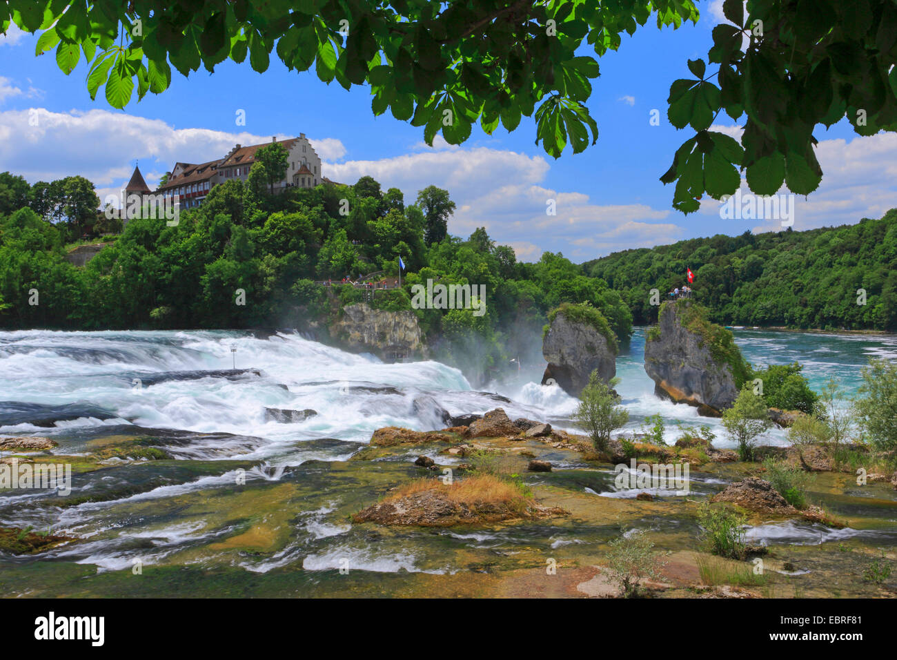 Piattaforma di Osservazione sul Reno cadere vicino a Sciaffusa e il castello di Laufen, Svizzera, Sciaffusa Foto Stock