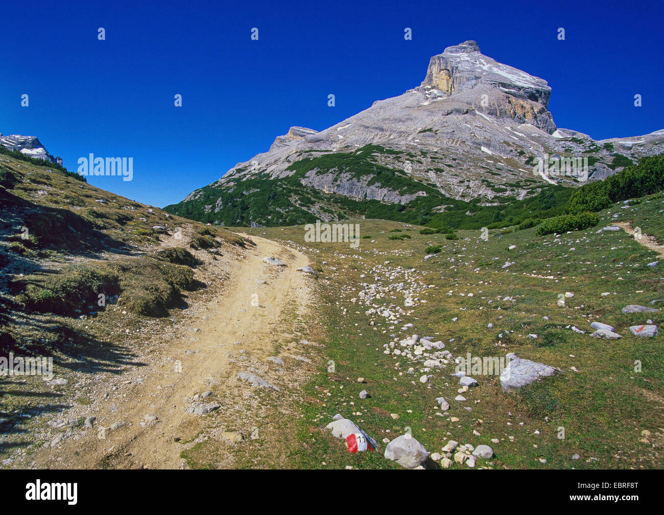 Il percorso escursionistico di Campe Strin, Italia, Alto Adige, Fanes Parco Nazionale Foto Stock