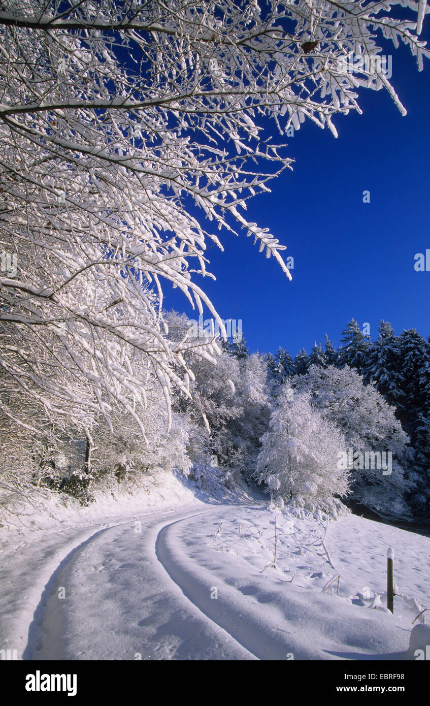 Paesaggio invernale con coperta di neve street, in Germania, in Renania settentrionale-Vestfalia, Bergisches Land Foto Stock