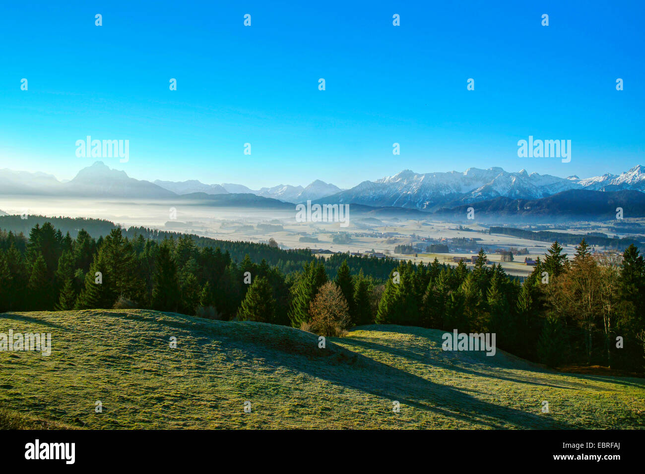 Nebbia di mattina fino alle colline pedemontane delle Alpi intorno al Hopfensee, vista da Senkelekopf, in Germania, in Baviera, Oberbayern, Alta Baviera, Ostallgaeu Foto Stock