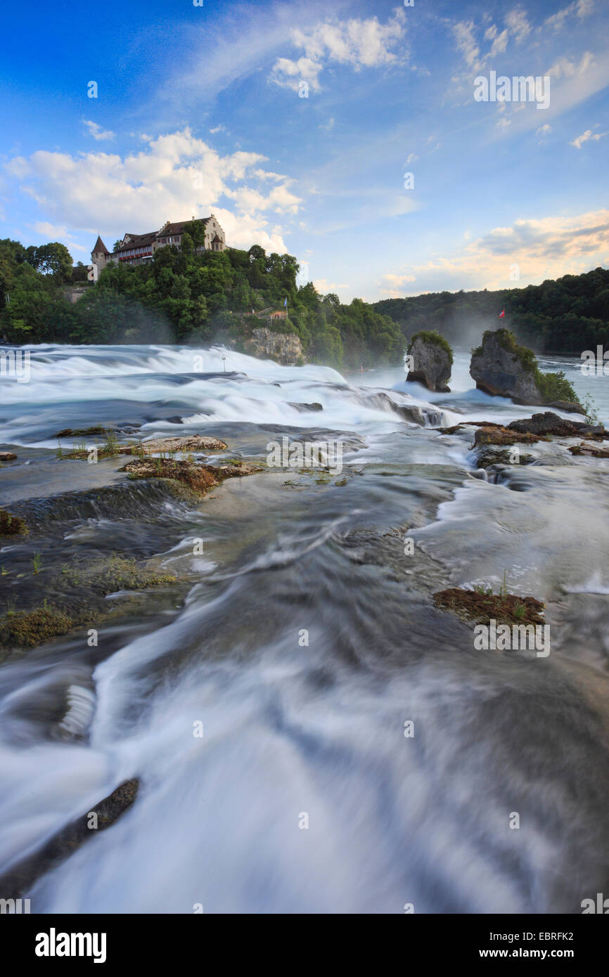 Caduta del Reno vicino a Sciaffusa con Castello Laufen, Svizzera, Sciaffusa Foto Stock