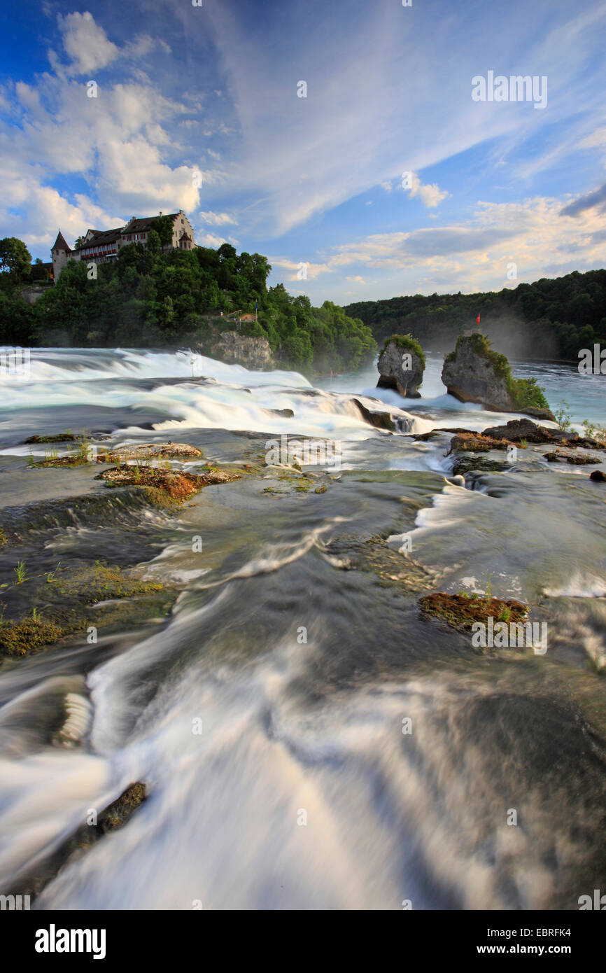 Caduta del Reno vicino a Sciaffusa con Castello Laufen, Svizzera, Sciaffusa Foto Stock