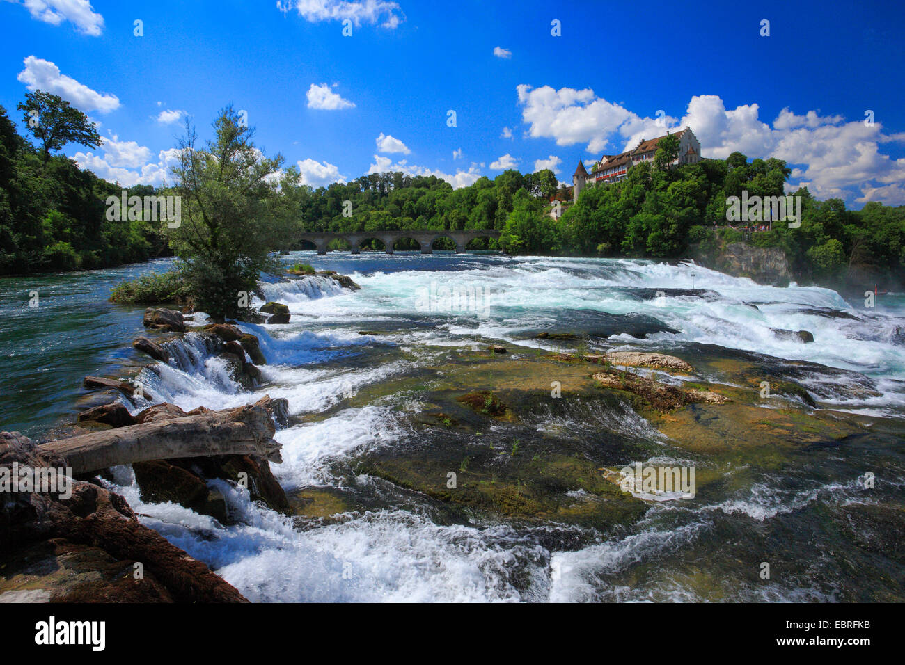Cascate del Reno vicino a Sciaffusa e il castello di Laufen, Svizzera, Sciaffusa Foto Stock