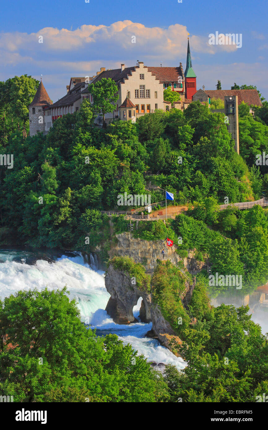 Caduta del Reno vicino a Sciaffusa con Castello Laufen, Svizzera, Sciaffusa Foto Stock