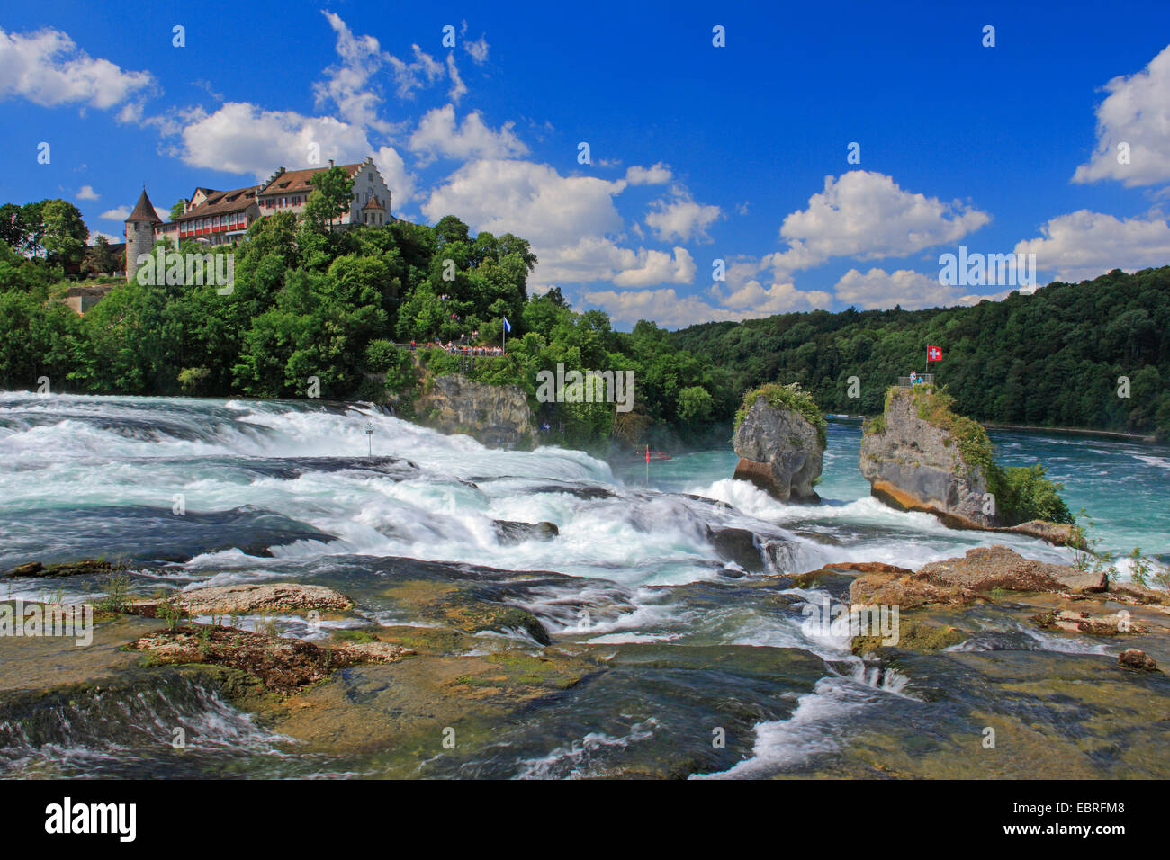 Caduta del Reno vicino a Sciaffusa con Castello Laufen , svizzera, Sciaffusa Foto Stock