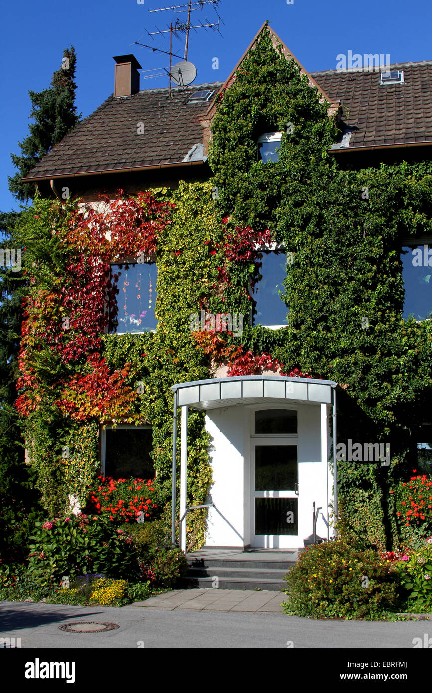 Edificio residenziale ricoperta con cinque dita ed edera-placcati, in Germania, in Renania settentrionale-Vestfalia, Hochdahl Foto Stock