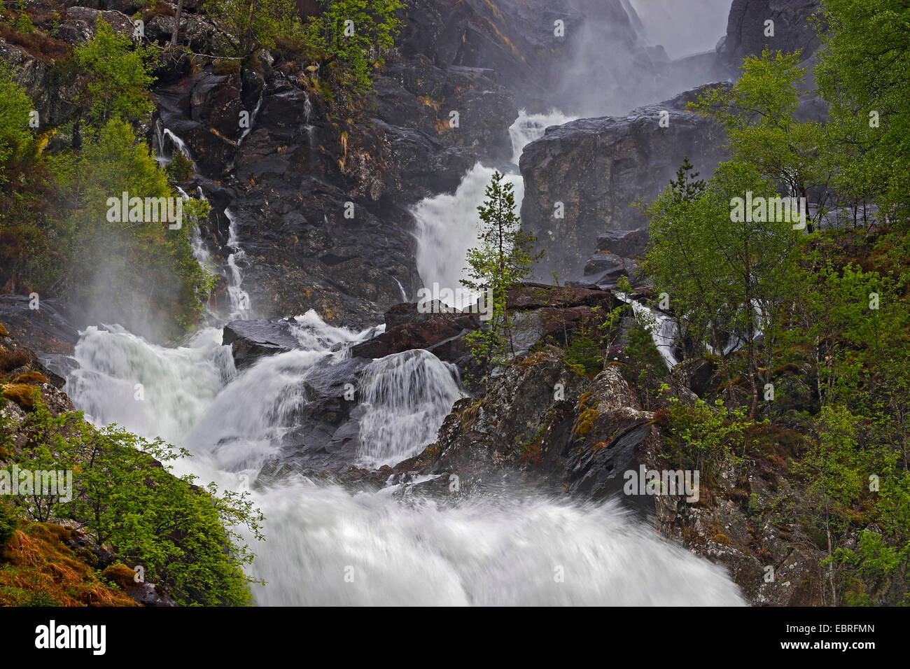 Cascate Latefossen, Norvegia Foto Stock