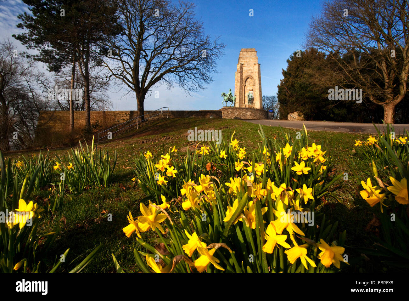 I narcisi in fiore nella parte anteriore dell' Imperatore Guglielmo monumenti di Hohensyburg, in Germania, in Renania settentrionale-Vestfalia, la zona della Ruhr, Dortmund Foto Stock