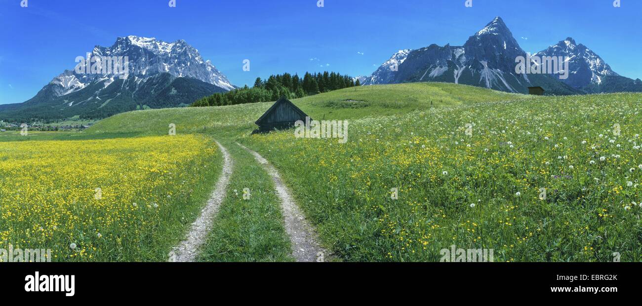 Paesaggio con capanna in legno e prati fioriti in primavera, in background Zugspitze (sinistra) e Sonnenspitz (a destra), Austria, Tirolo, Zugspitzgebiet Foto Stock